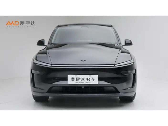 Model Y 2025 Model Rear-wheel drive version – фото 2