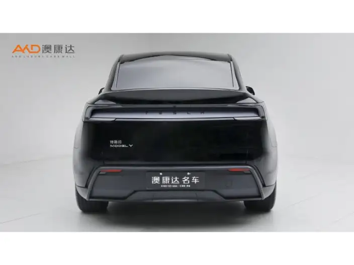 Model Y 2025 Model Rear-wheel drive version – фото 3