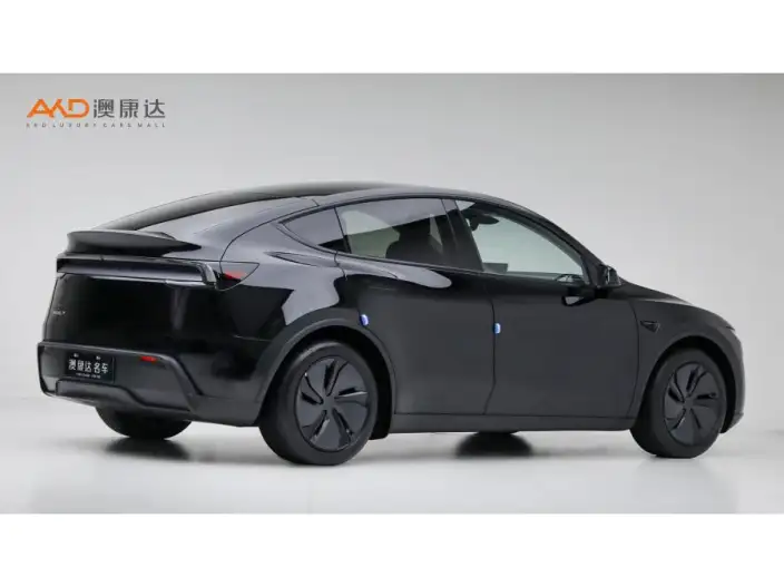 Model Y 2025 Model Rear-wheel drive version – фото 4
