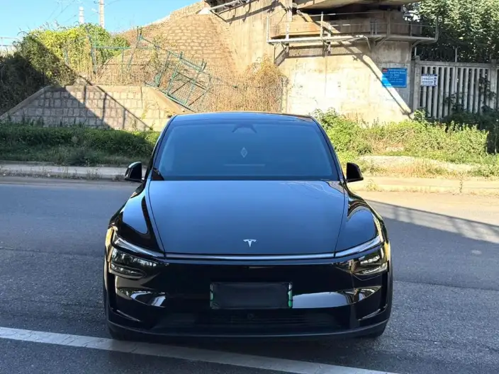 Model Y 2025 Model Rear-wheel drive version – фото 2