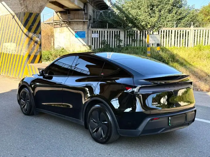 Model Y 2025 Model Rear-wheel drive version – фото 4