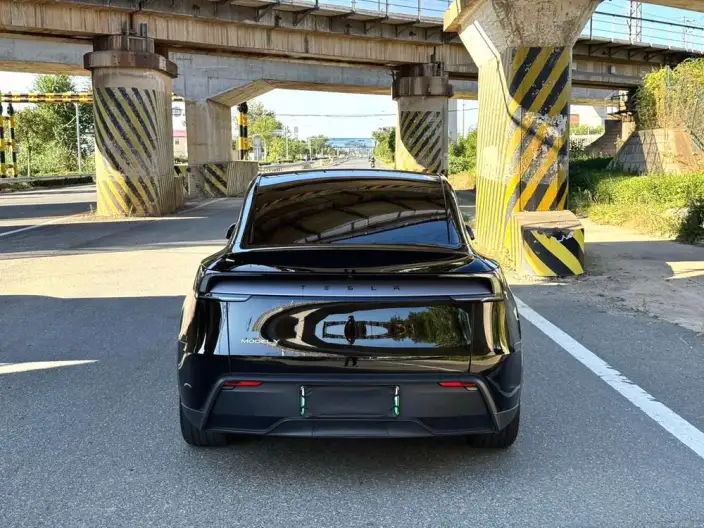 Model Y 2025 Model Rear-wheel drive version – фото 5