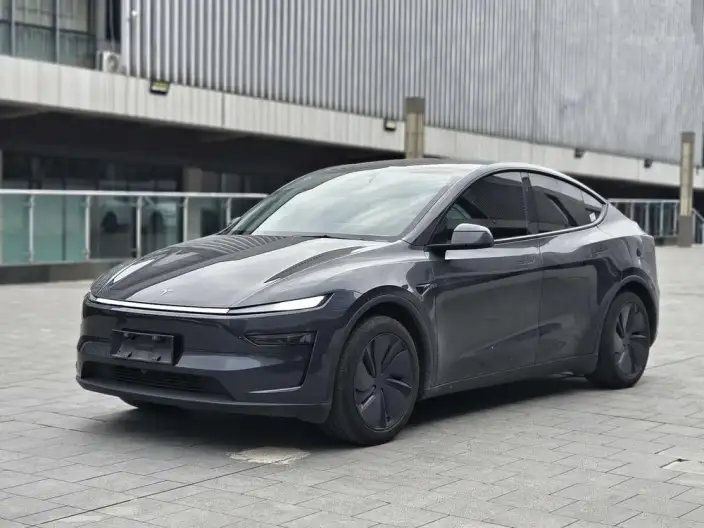 Model Y 2025 Model Rear-wheel drive version – фото 1