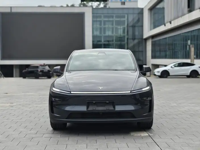 Model Y 2025 Model Rear-wheel drive version – фото 2