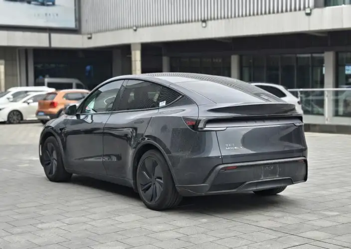 Model Y 2025 Model Rear-wheel drive version – фото 4