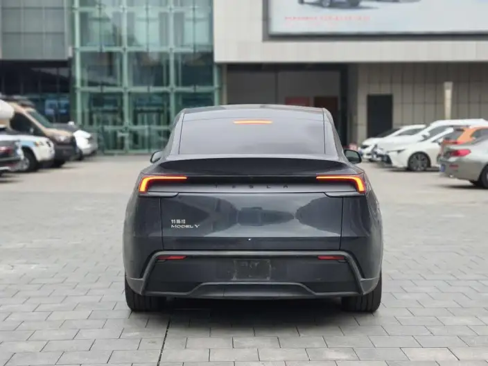 Model Y 2025 Model Rear-wheel drive version – фото 5