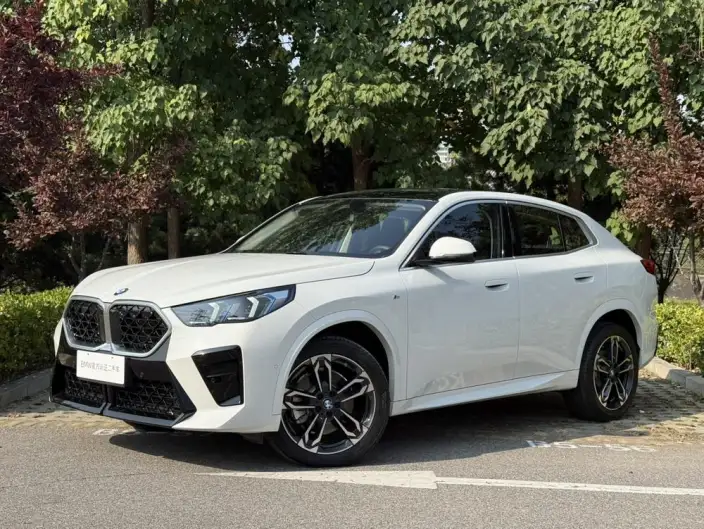 BMW X2 Imported 2024 Model sDrive25i M Sports Set – фото 1