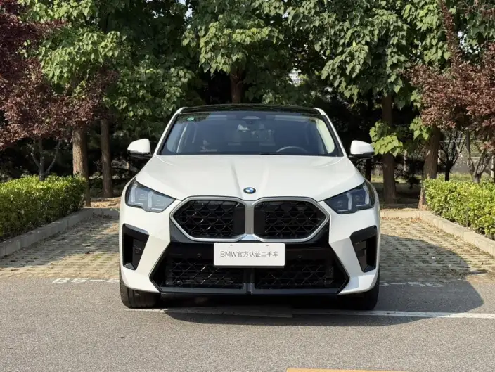 BMW X2 Imported 2024 Model sDrive25i M Sports Set – фото 2