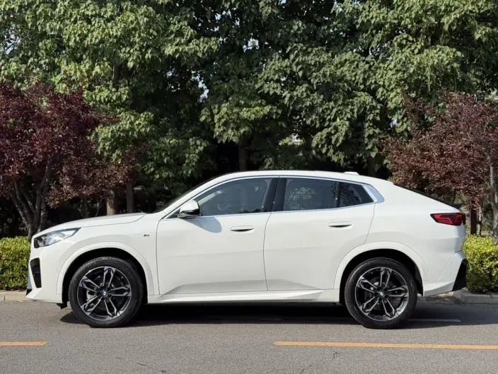BMW X2 Imported 2024 Model sDrive25i M Sports Set – фото 3
