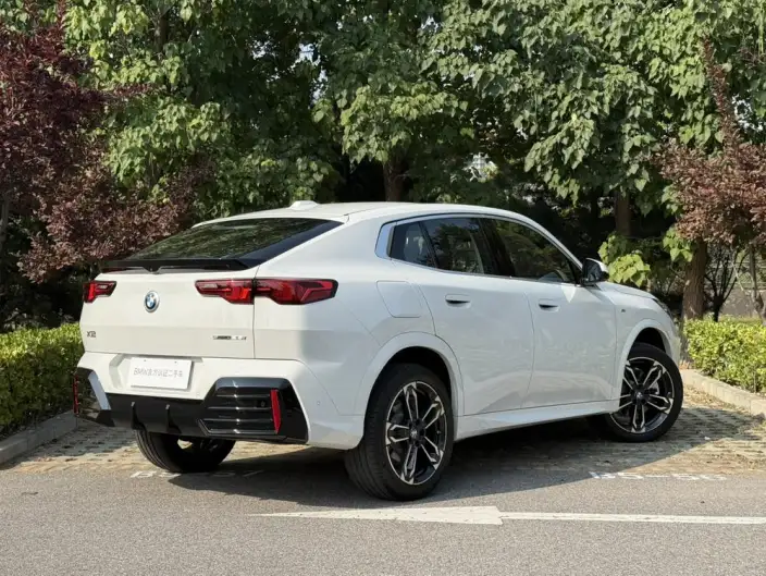 BMW X2 Imported 2024 Model sDrive25i M Sports Set – фото 5
