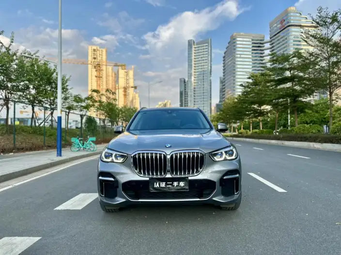 BMW X5 2022 Model Facelift xDrive 30Li M Sports Set – фото 2