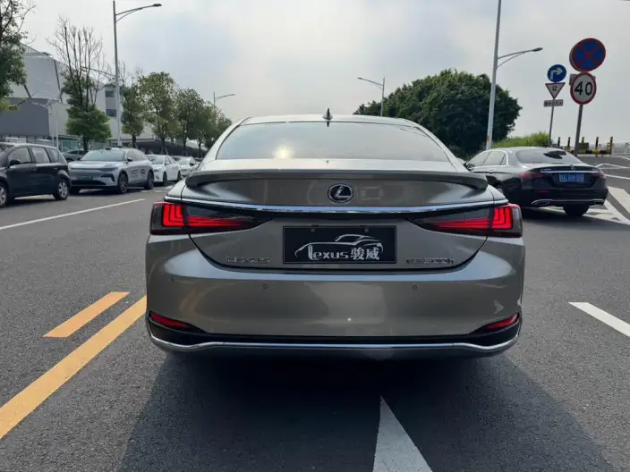 Lexus ES 2021 Model 300h Premium – фото 6