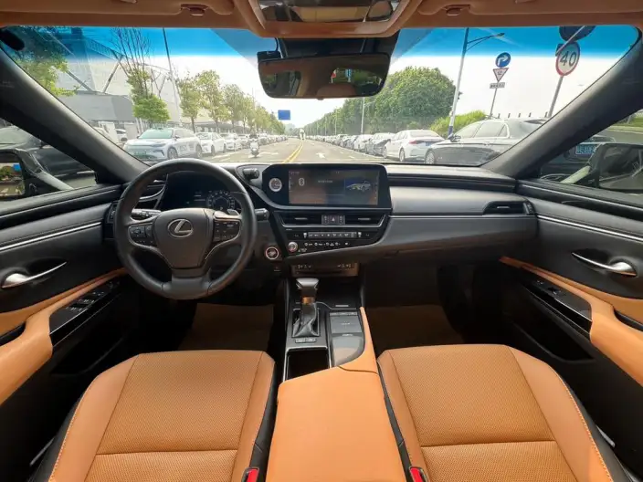 Lexus ES 2021 Model 300h Premium – фото 11