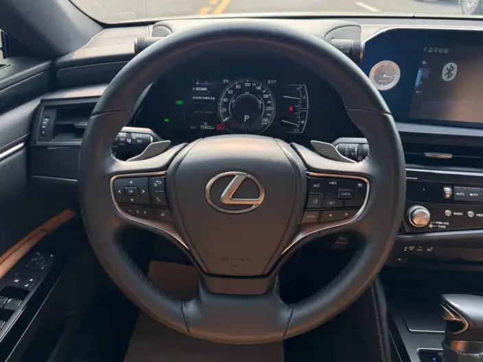 Lexus ES 2021 Model 300h Premium – фото 13