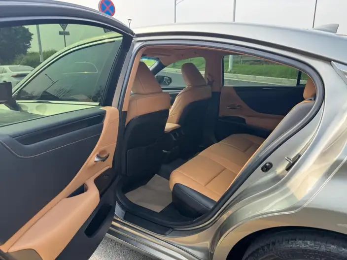 Lexus ES 2021 Model 300h Premium – фото 15