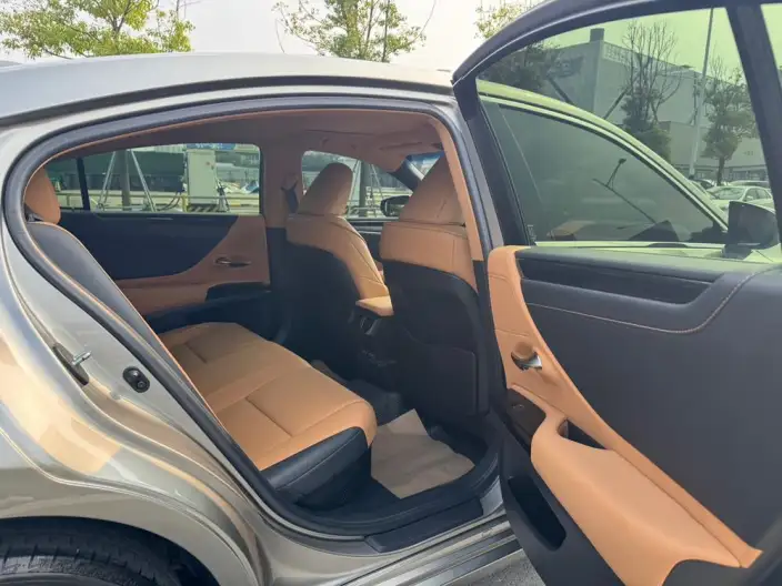 Lexus ES 2021 Model 300h Premium – фото 17