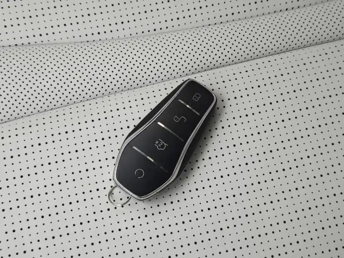 BYD Seal 05DM 2025 Model Smart Driving Edition DM-i 55KM Noble Model – фото 11