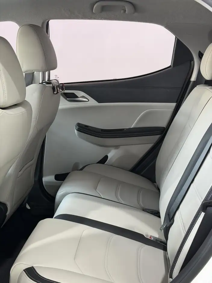 Yuan Pro 2021 Model 401KM Luxury Model – фото 11