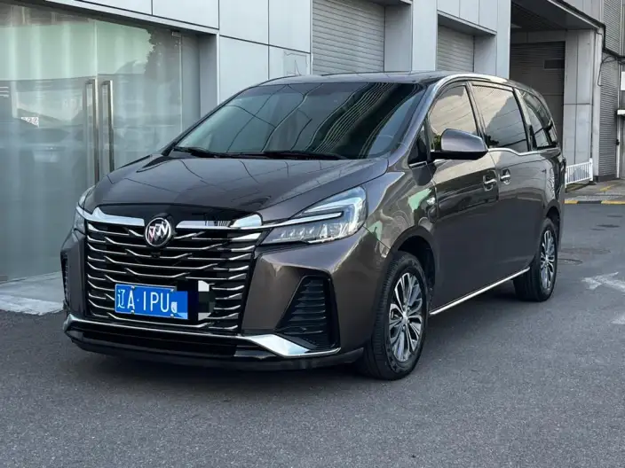 Buick GL8 2023 Model Business class 2.0T Luxury Model – фото 1
