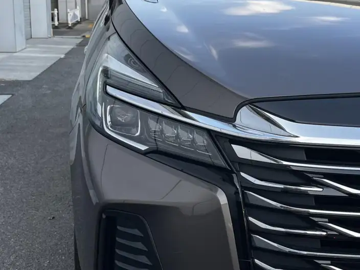 Buick GL8 2023 Model Business class 2.0T Luxury Model – фото 9