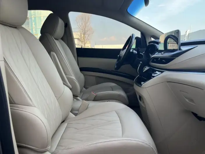 Buick GL8 2023 Model Business class 2.0T Luxury Model – фото 18