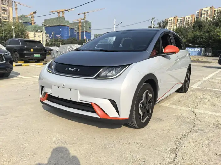 BYD Dolphin 2021 Model Fashion Edition – фото 1