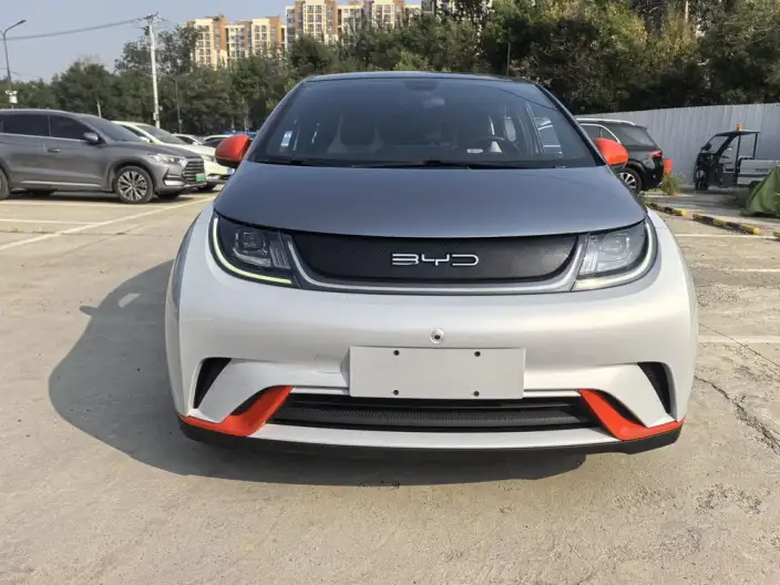 BYD Dolphin 2021 Model Fashion Edition – фото 2