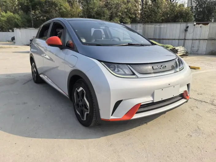 BYD Dolphin 2021 Model Fashion Edition – фото 3