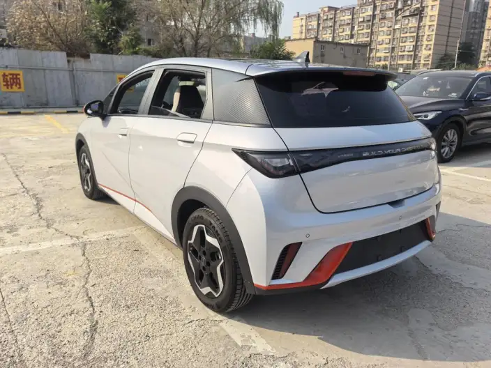 BYD Dolphin 2021 Model Fashion Edition – фото 4