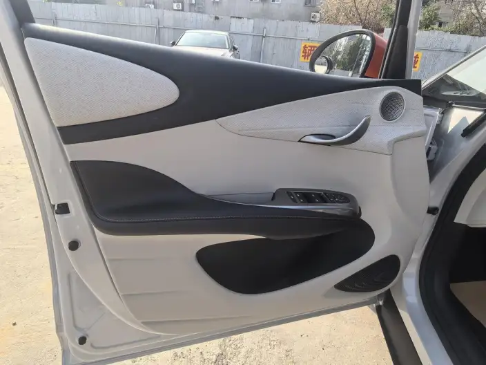 BYD Dolphin 2021 Model Fashion Edition – фото 12