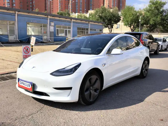 Model 3 2020 Model Facelift Standard Battery Life Rear Drive L Class Edition – фото 1