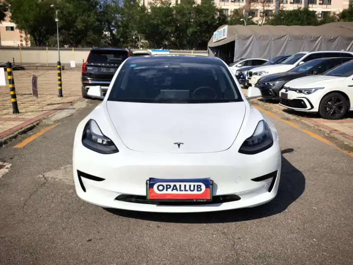 Model 3 2020 Model Facelift Standard Battery Life Rear Drive L Class Edition – фото 2