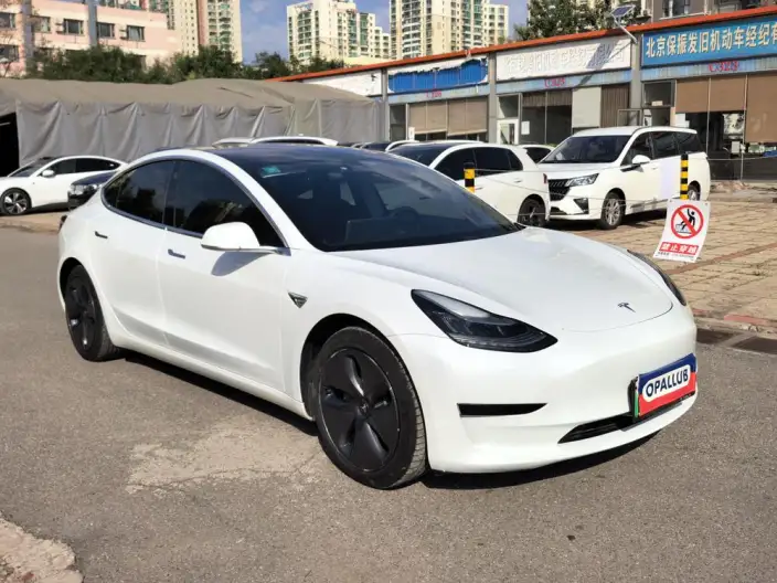 Model 3 2020 Model Facelift Standard Battery Life Rear Drive L Class Edition – фото 3