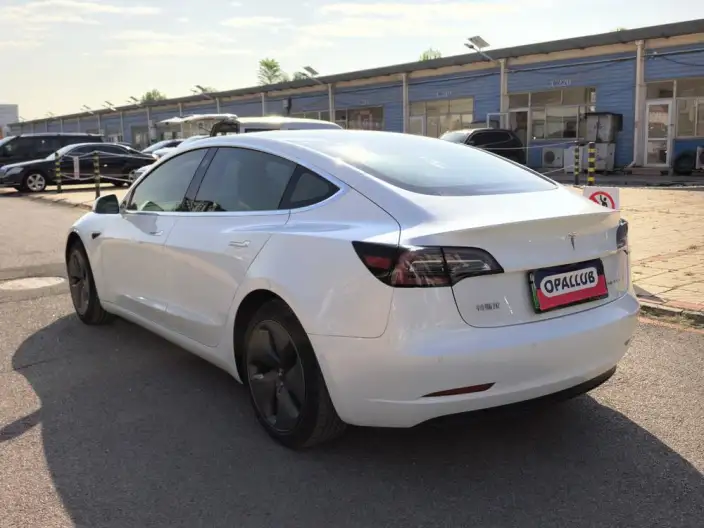 Model 3 2020 Model Facelift Standard Battery Life Rear Drive L Class Edition – фото 4