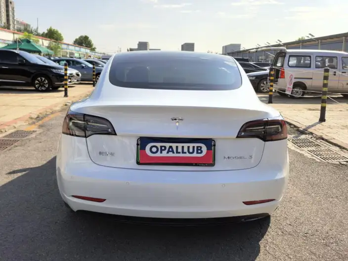 Model 3 2020 Model Facelift Standard Battery Life Rear Drive L Class Edition – фото 5