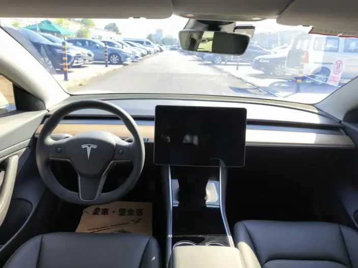 Model 3 2020 Model Facelift Standard Battery Life Rear Drive L Class Edition – фото 12