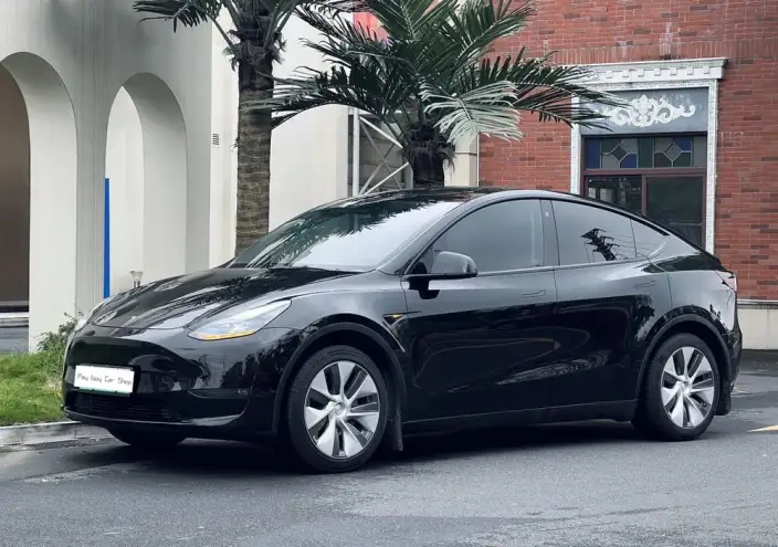 Model Y 2023 Model Long Battery Life Pro All-wheel drive version – фото 1
