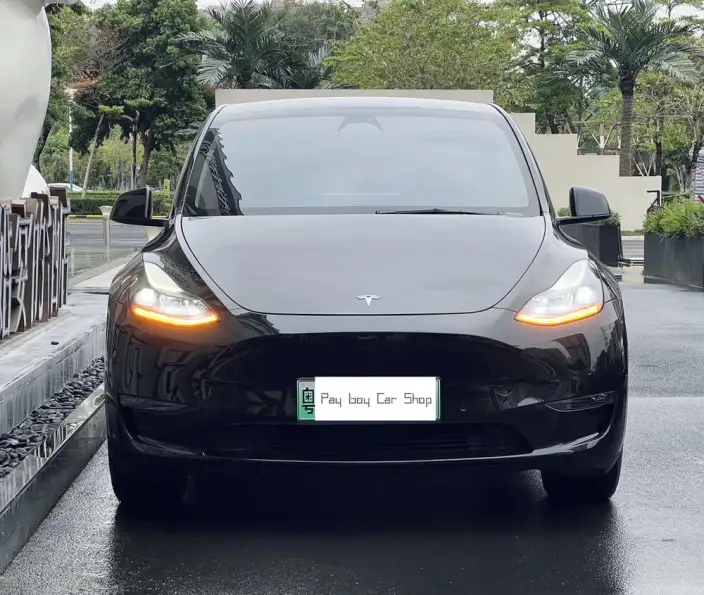 Model Y 2023 Model Long Battery Life Pro All-wheel drive version – фото 2