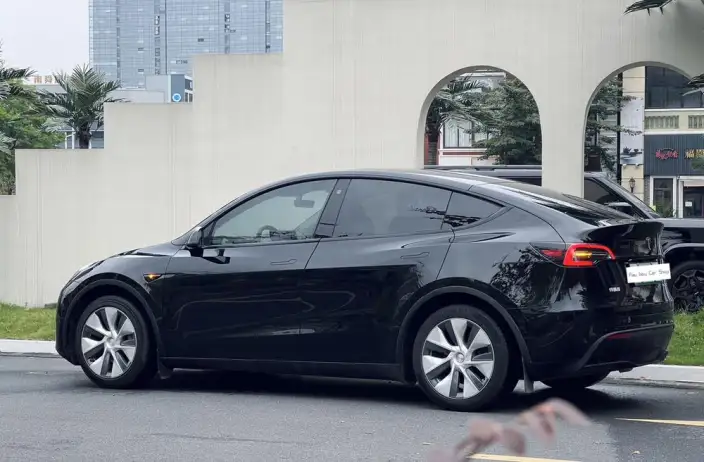 Model Y 2023 Model Long Battery Life Pro All-wheel drive version – фото 4