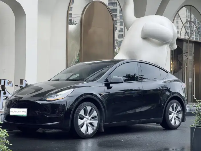 Model Y 2023 Model Long Battery Life Pro All-wheel drive version – фото 8