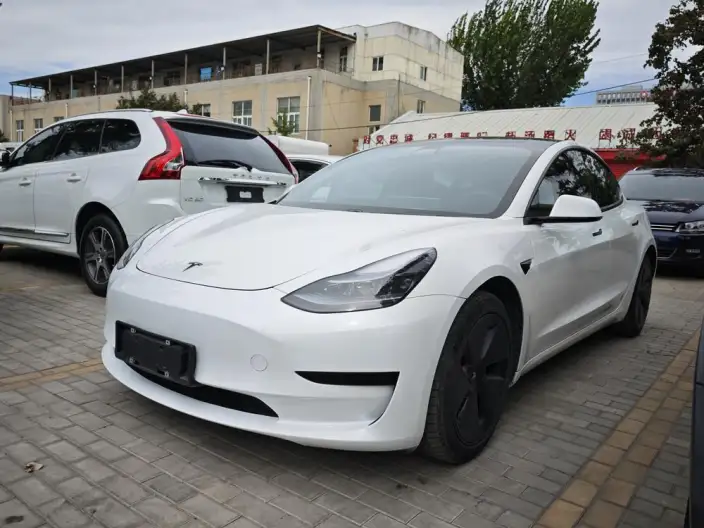 Model 3 2021 Model Standard Battery Life Rear Drive L Class Edition – фото 1