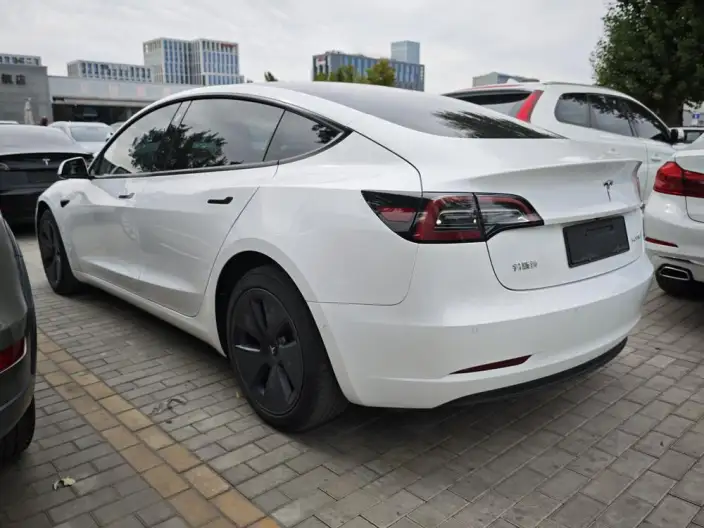 Model 3 2021 Model Standard Battery Life Rear Drive L Class Edition – фото 4