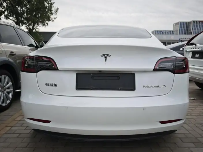 Model 3 2021 Model Standard Battery Life Rear Drive L Class Edition – фото 5