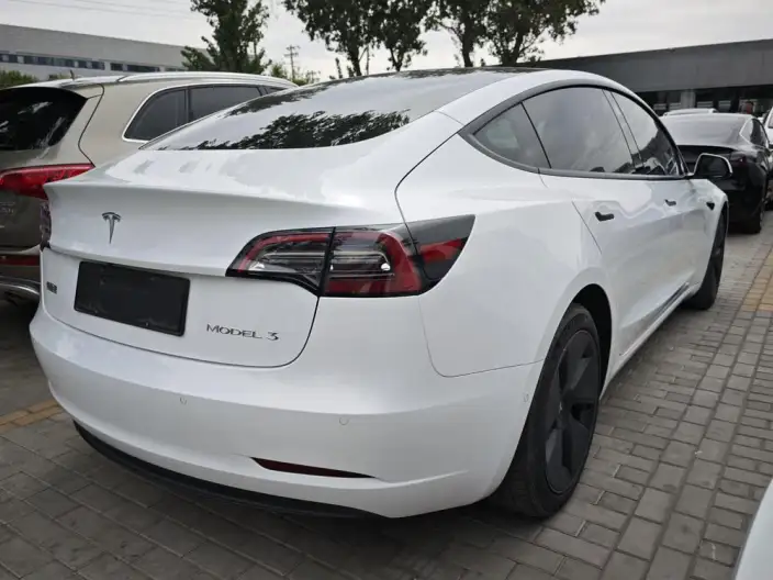 Model 3 2021 Model Standard Battery Life Rear Drive L Class Edition – фото 6