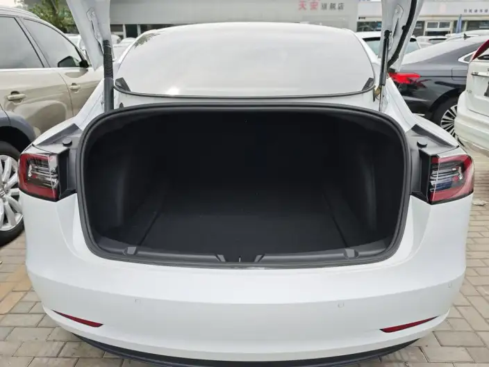 Model 3 2021 Model Standard Battery Life Rear Drive L Class Edition – фото 13
