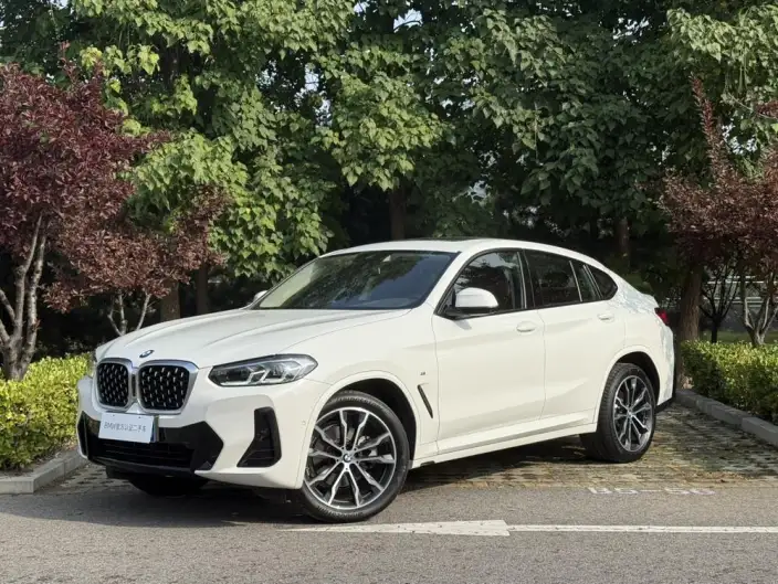 BMW X4 2022 Model xDrive 30i M Sports Night Set – фото 1