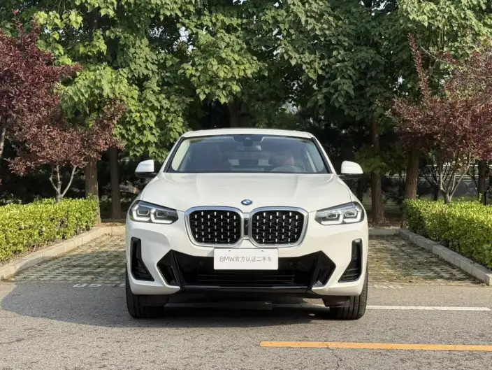 BMW X4 2022 Model xDrive 30i M Sports Night Set – фото 2