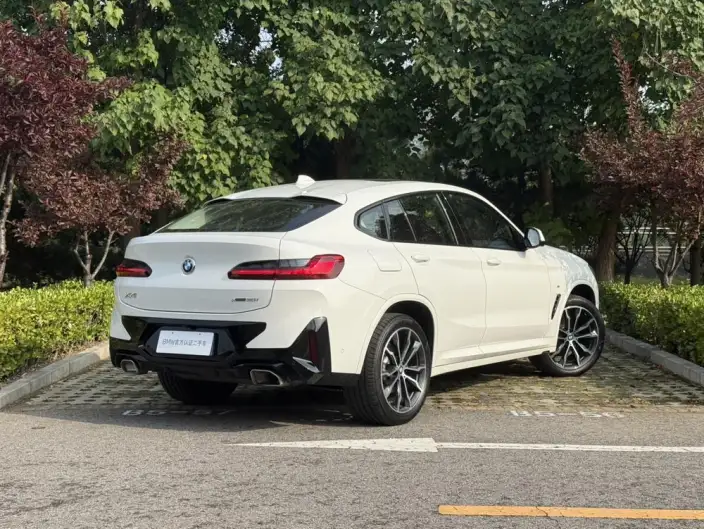 BMW X4 2022 Model xDrive 30i M Sports Night Set – фото 5