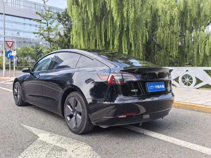 Model 3 2021 Model Standard Battery Life Rear Drive L Class Edition 3D1