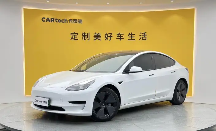 Model 3 2021 Model Standard Battery Life Rear Drive L Class Edition 3D1
